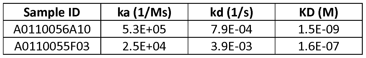 Figure imgf000178_0002