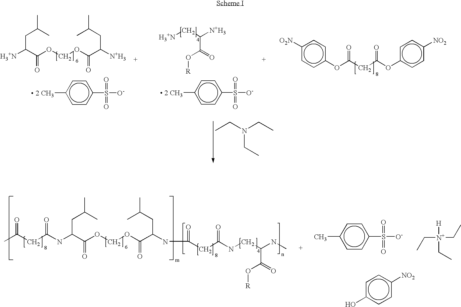 Figure US20080095918A1-20080424-C00001