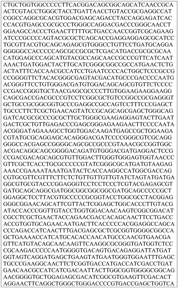 Figure BDA0002872168850001691