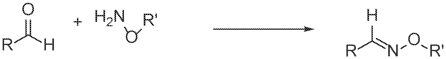 Figure imgf000033_0002