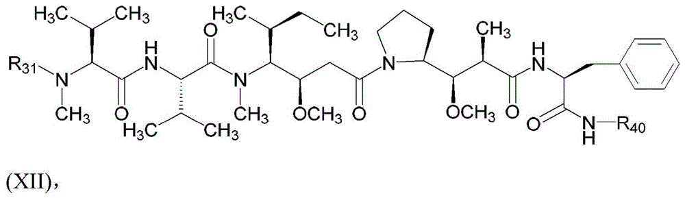 Figure BDA0003135424430001202