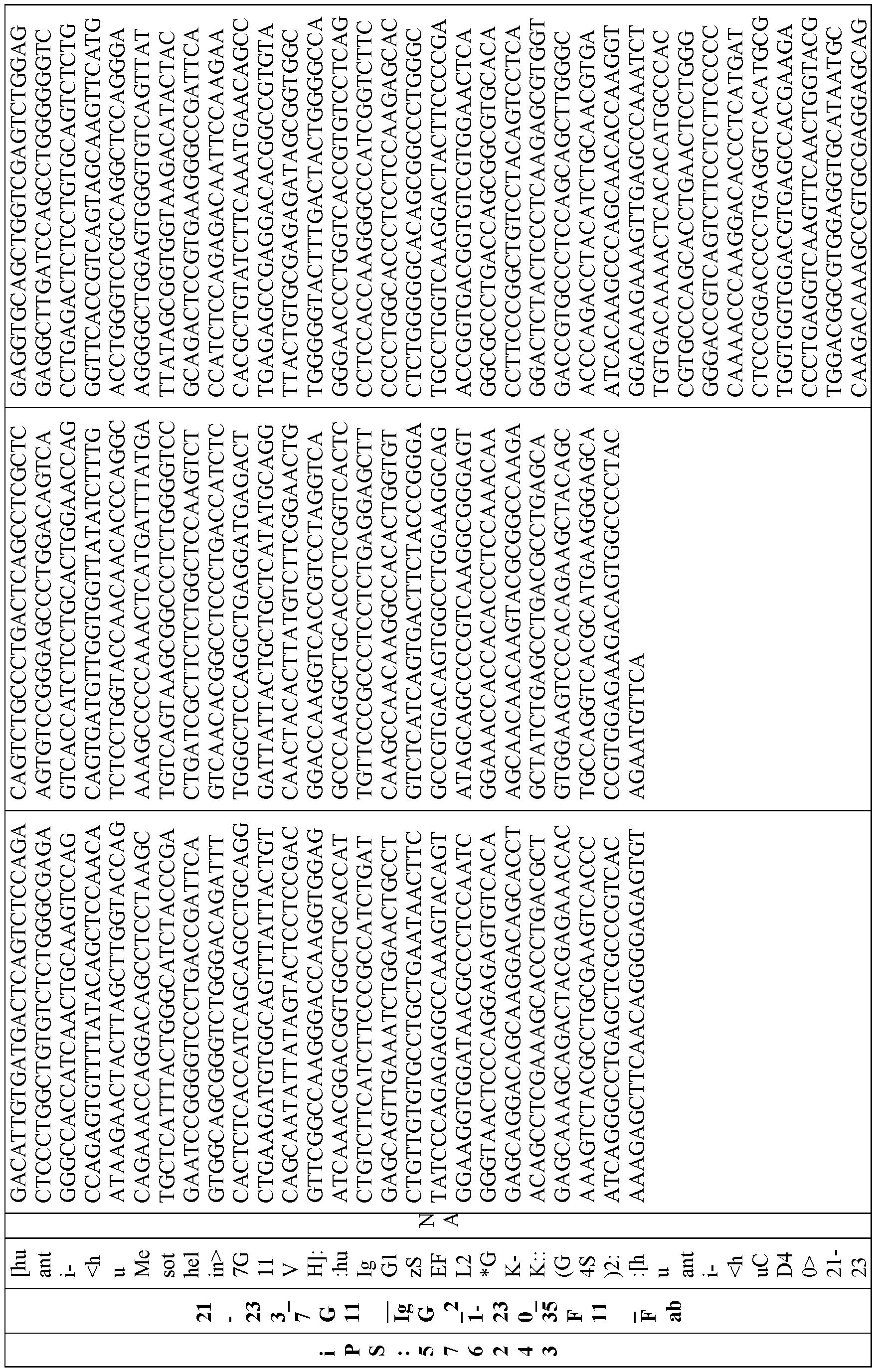 Figure imgf000543_0001