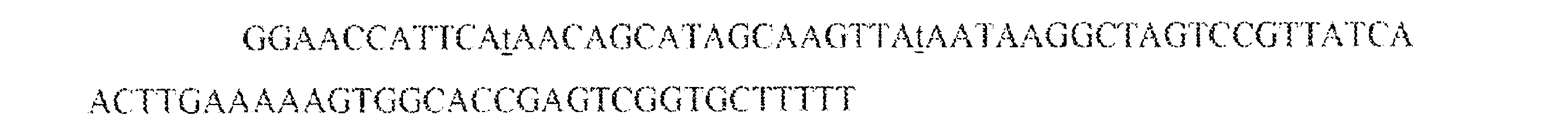 Figure 0007542681000067