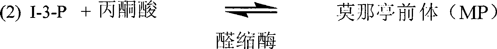 Figure A200780027087D00212