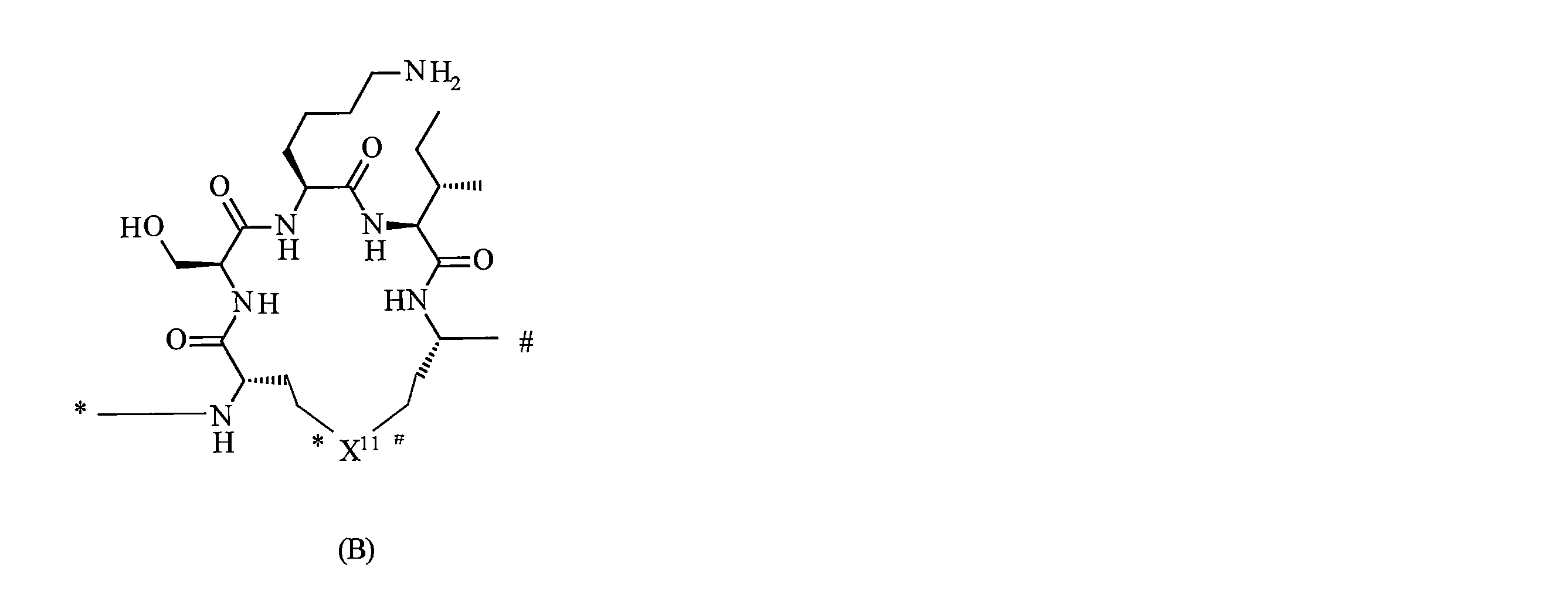 Figure 2022537369000037