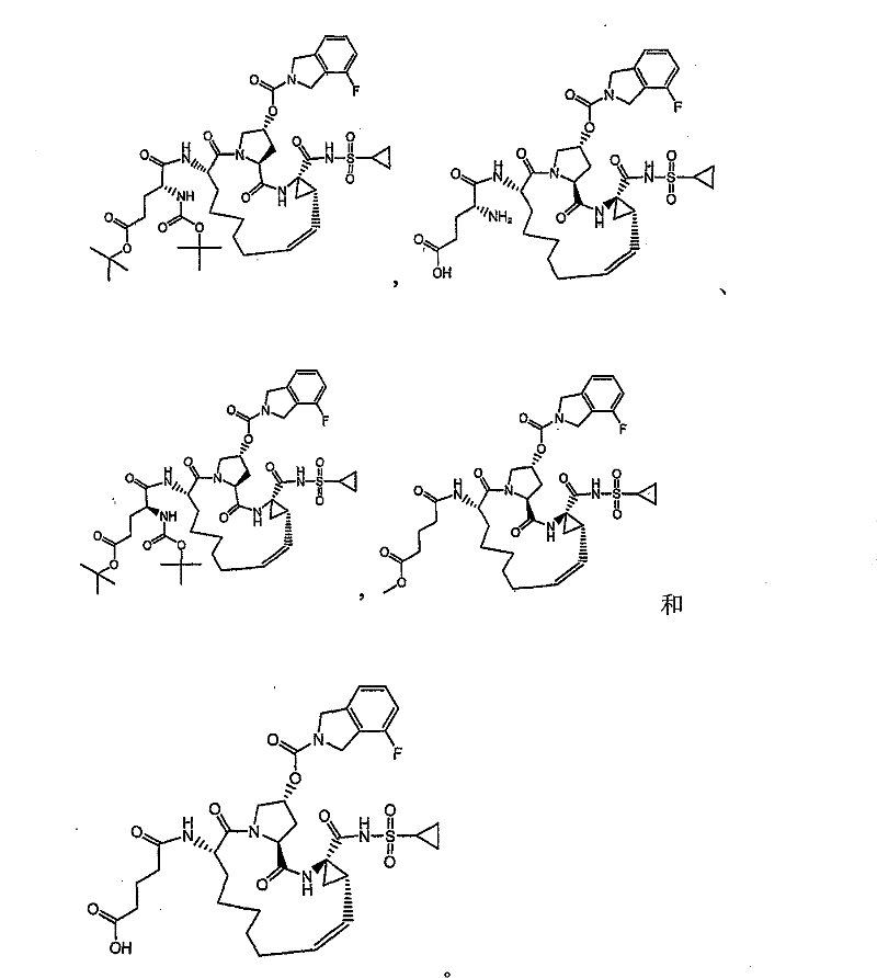 Figure FSB00000517652500011