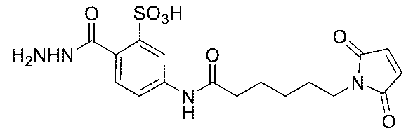 Figure 0007442821000127