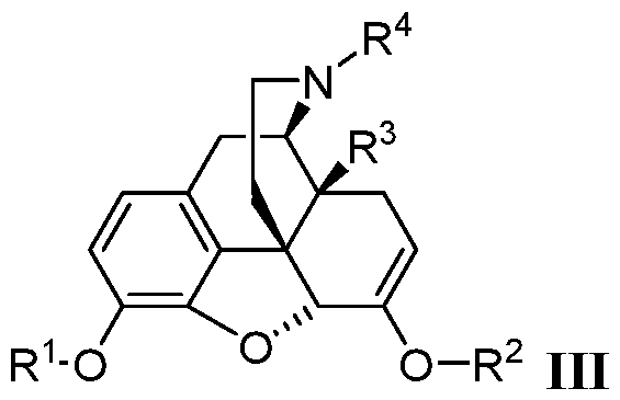 Figure imgf000119_0003