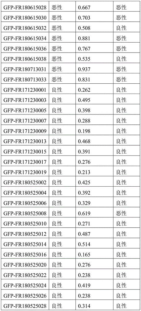 Figure BDA0003401061840000511