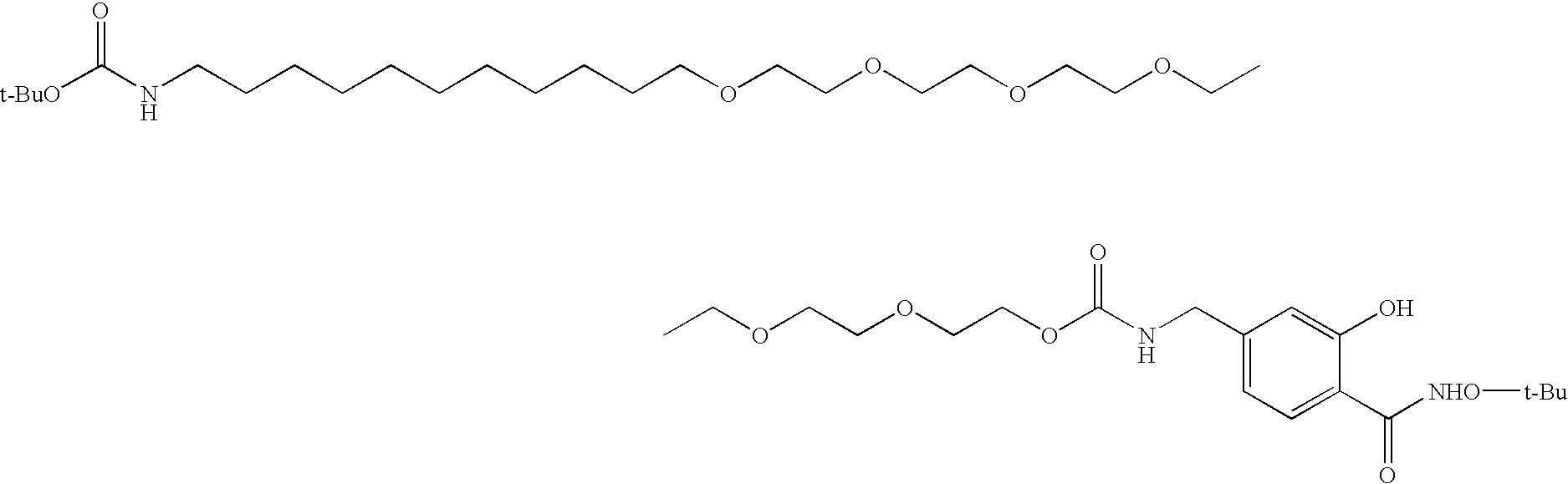 Figure US20030032202A1-20030213-C00029