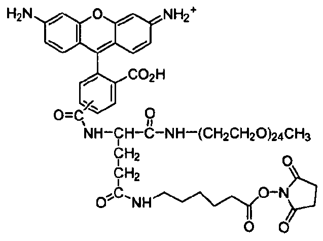 Figure imgf000105_0002