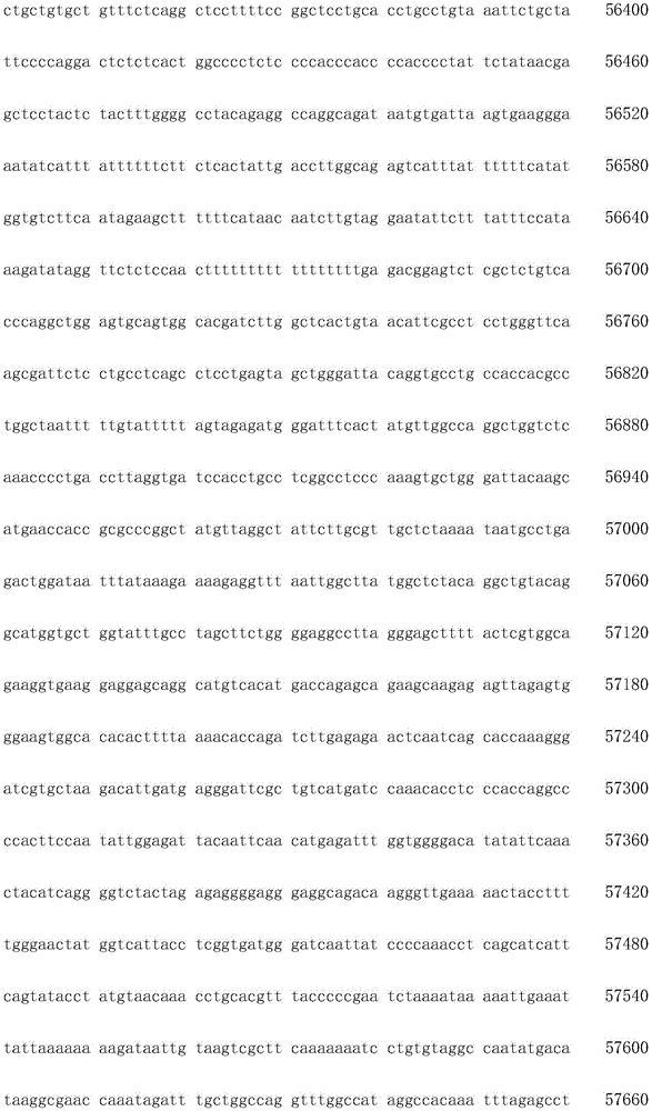 Figure IDA0003936212790001441