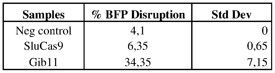 Figure imgf000147_0002