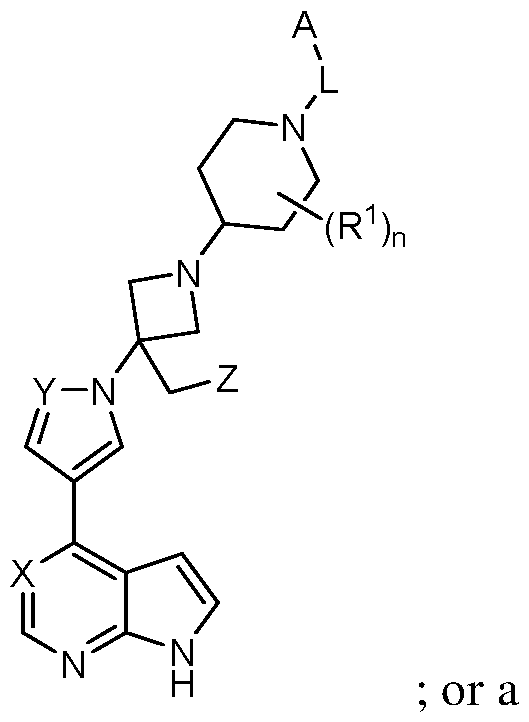 Figure imgf000011_0001