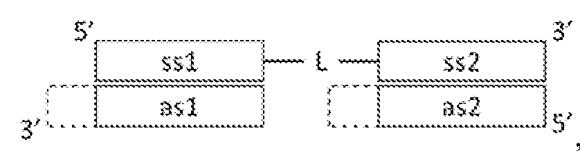 Figure imgf000037_0002