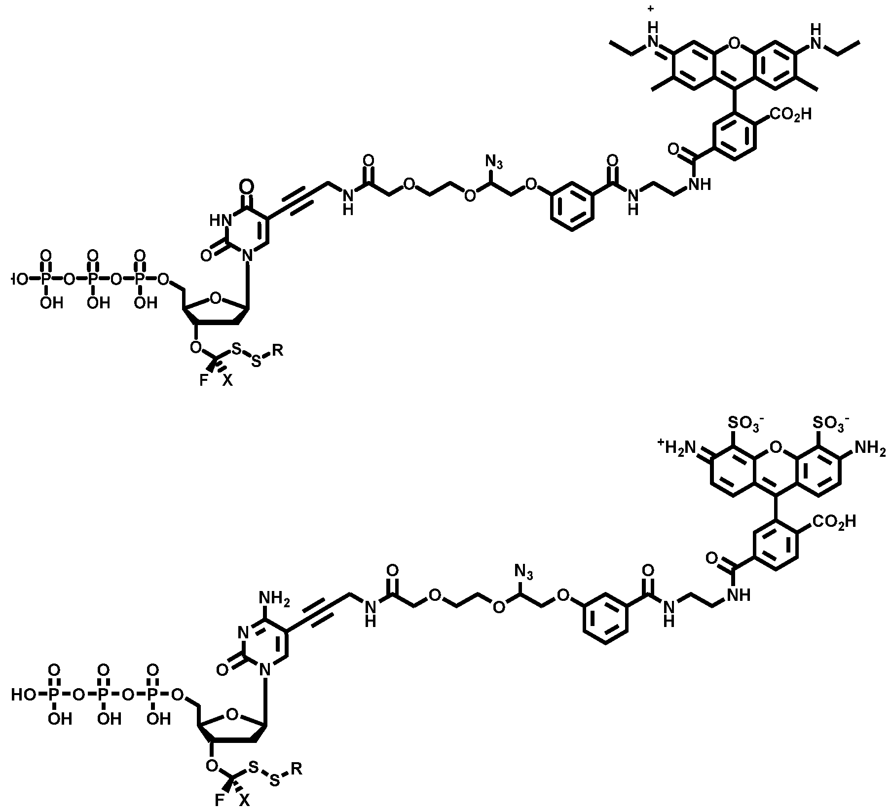Figure imgf000359_0001