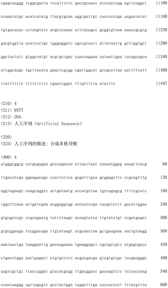 Figure IDA0002872168960000621