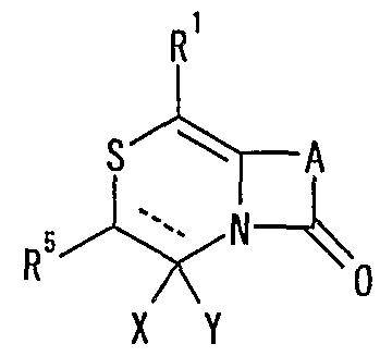 Figure imgf000206_0001