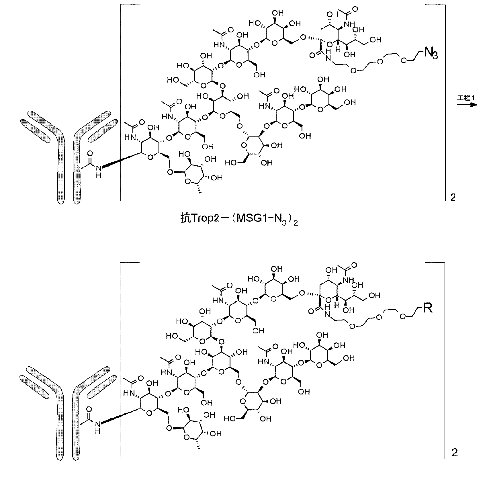 Figure 0007133079000252