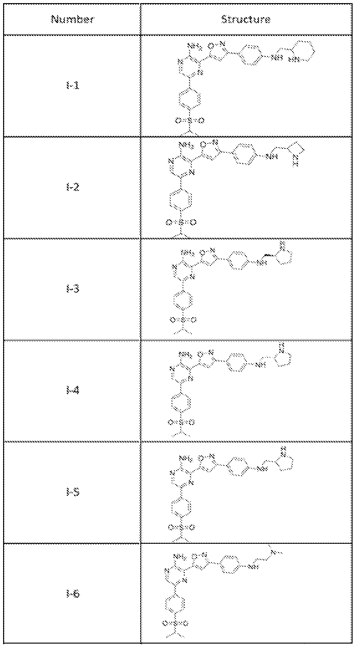 Figure imgf000005_0001