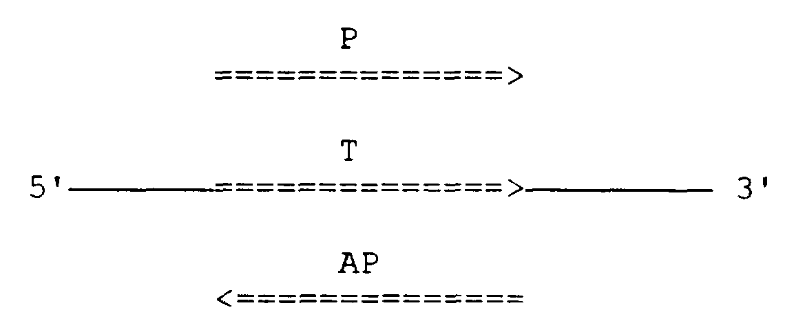 Figure imgf000019_0001