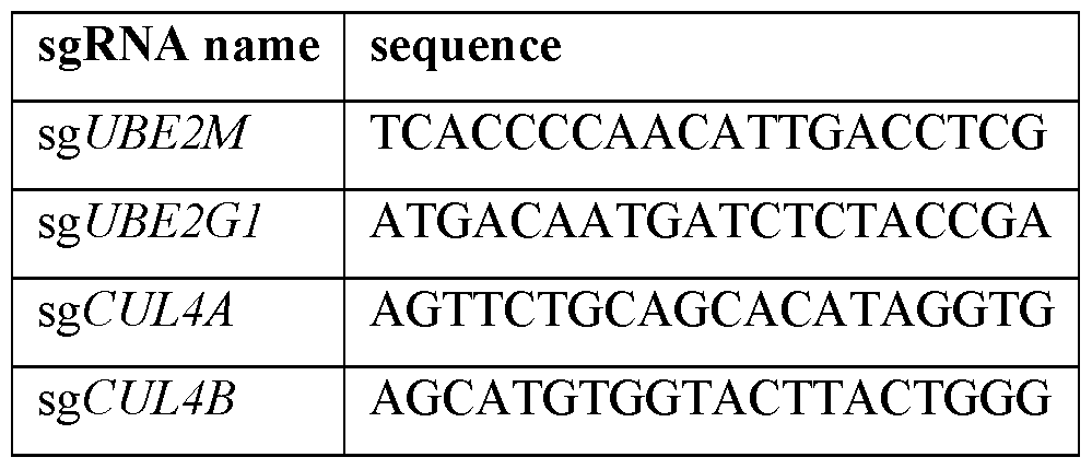 Figure imgf000099_0001