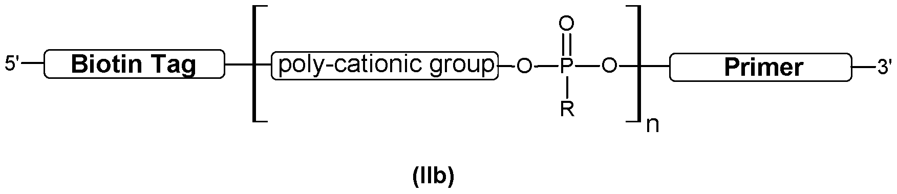 Figure imgf000007_0001