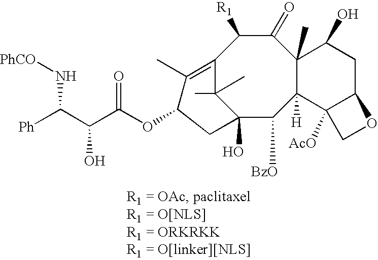 Figure US20080119421A1-20080522-C00029
