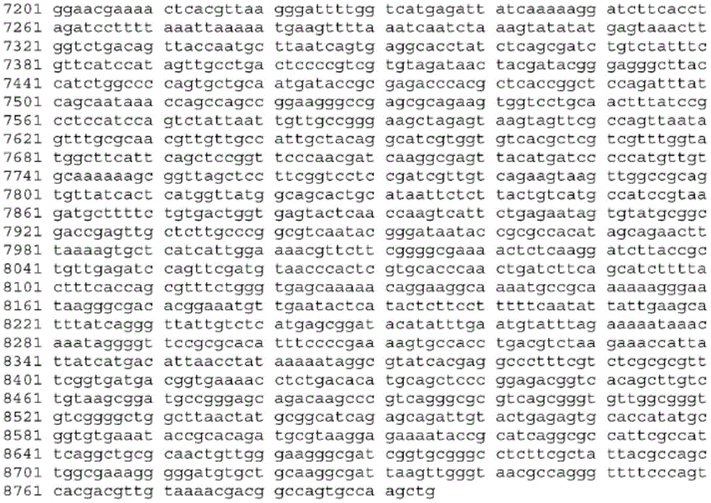 Figure BDA0003465582640001421