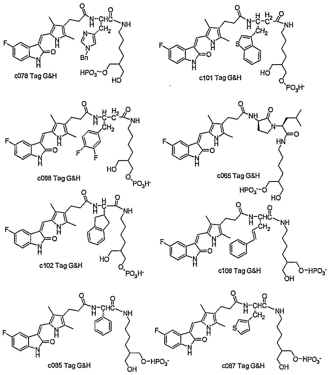 Figure imgf000053_0001