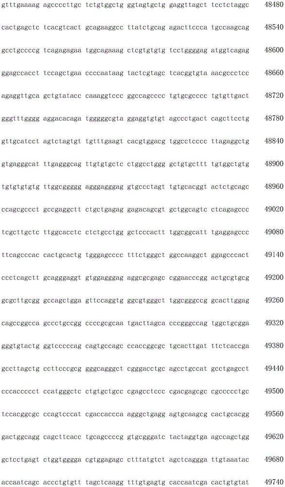 Figure IDA0003936212790001381