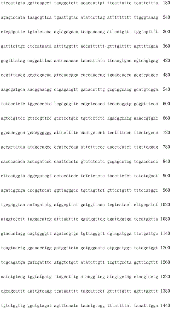 Figure IDA0001706936810000101