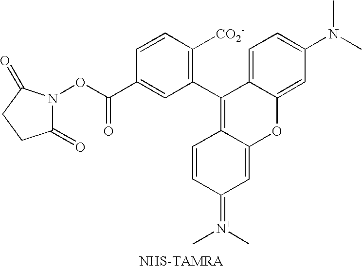 Figure US20060141523A1-20060629-C00005