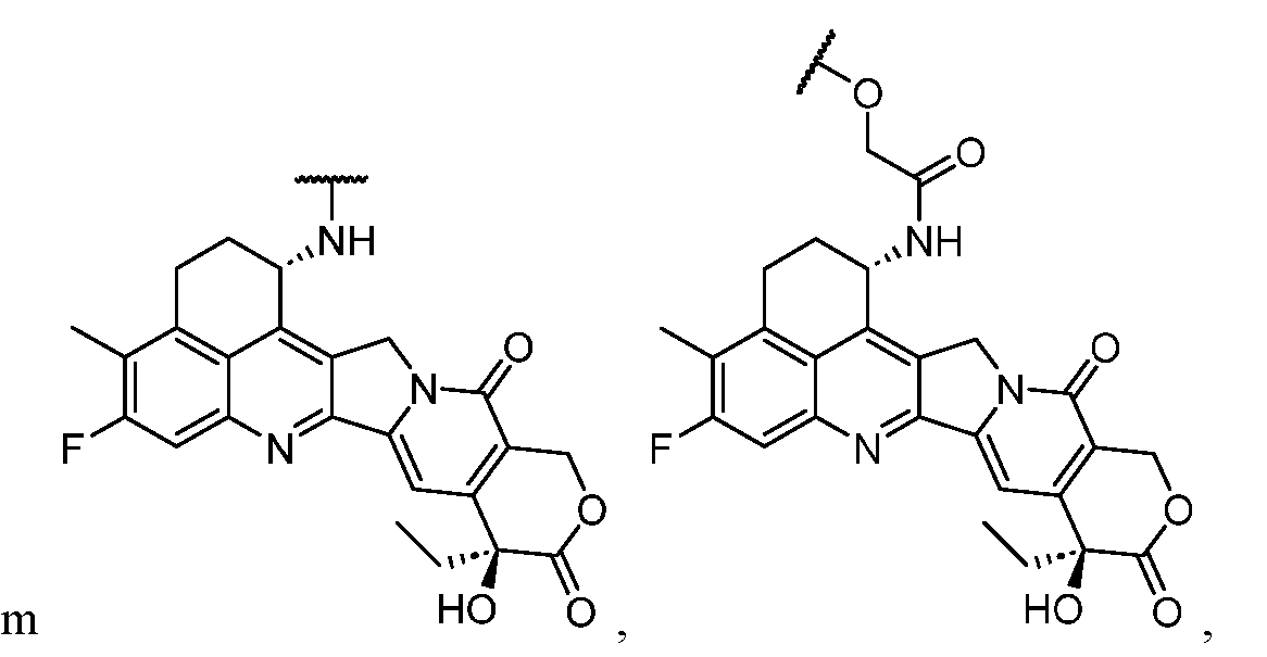 Figure imgf000003_0001