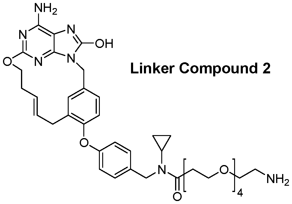 Figure imgf000044_0002