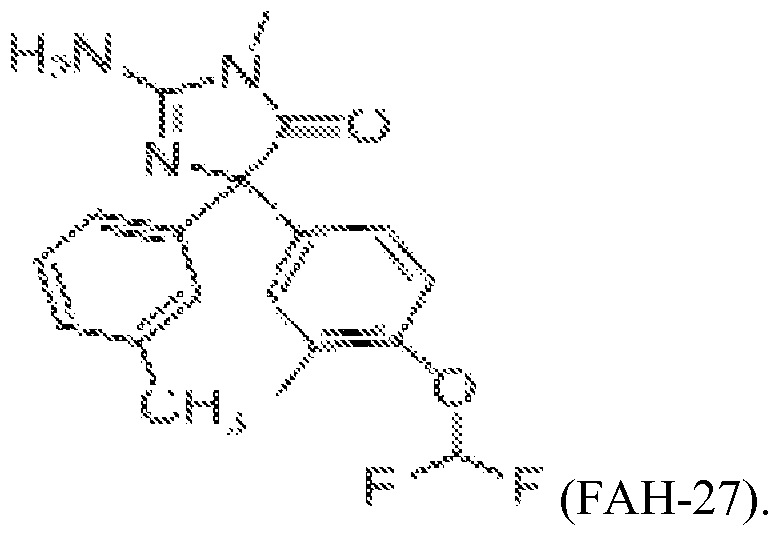 Figure imgf000018_0002