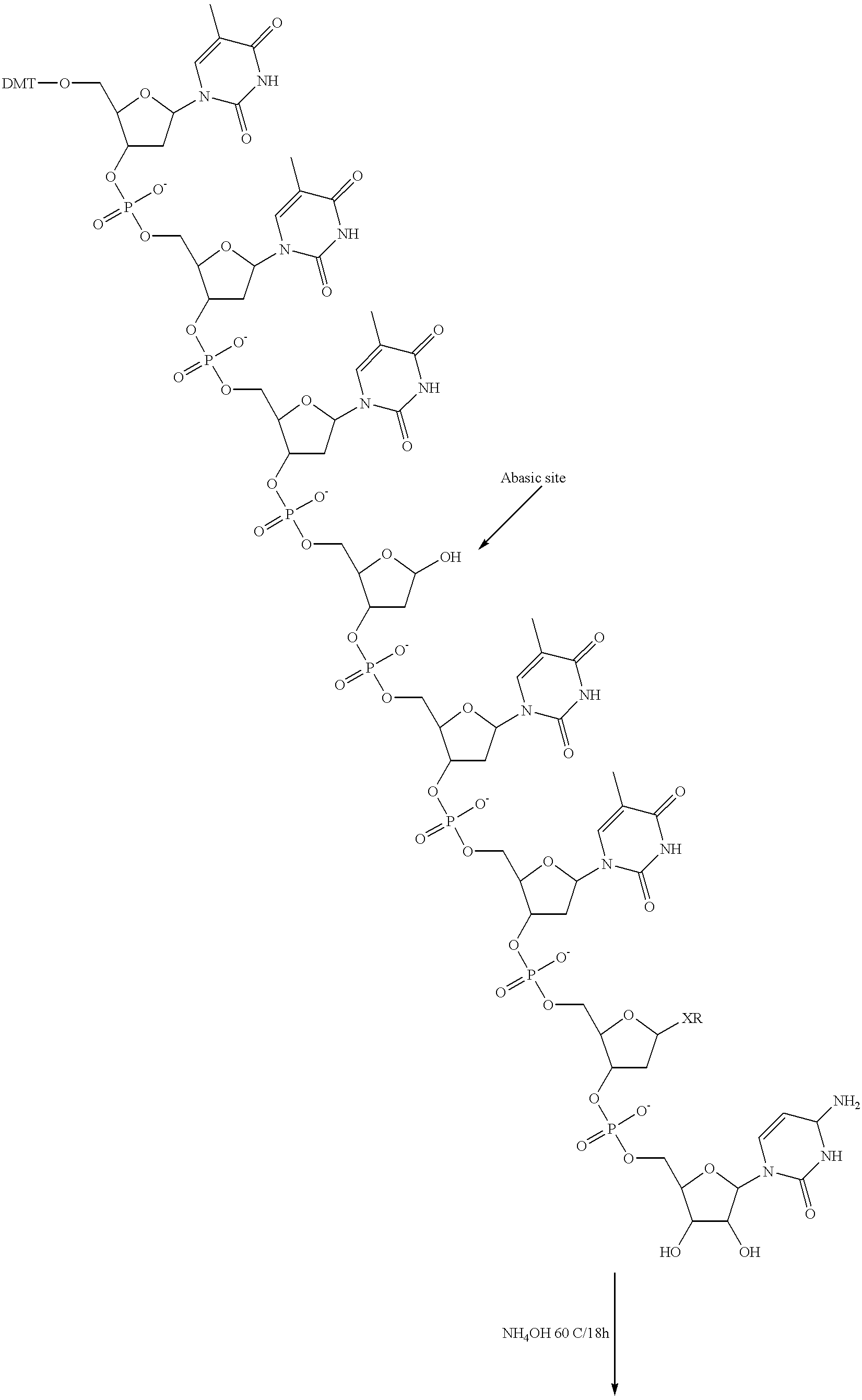 Figure US06472522-20021029-C00022
