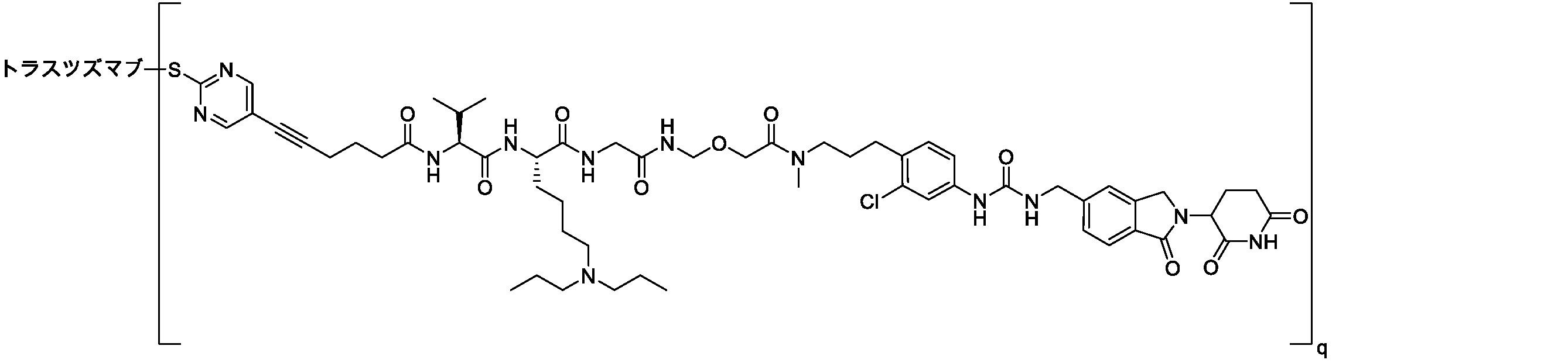 Figure 2025516873000120