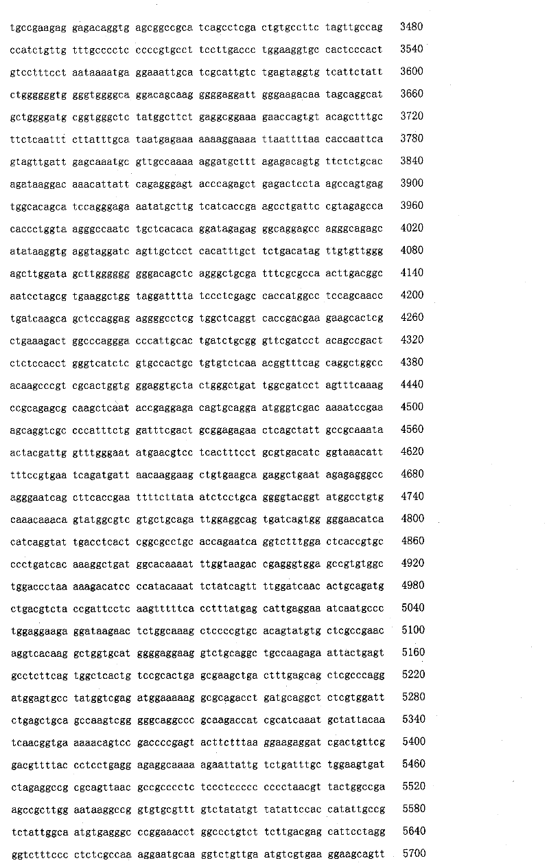 Figure IPA00001374087500301