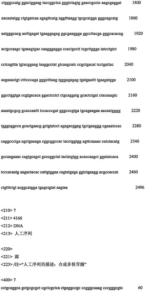 Figure IPA0000261779010000191