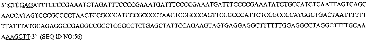 Figure 112006065182923-pct00032