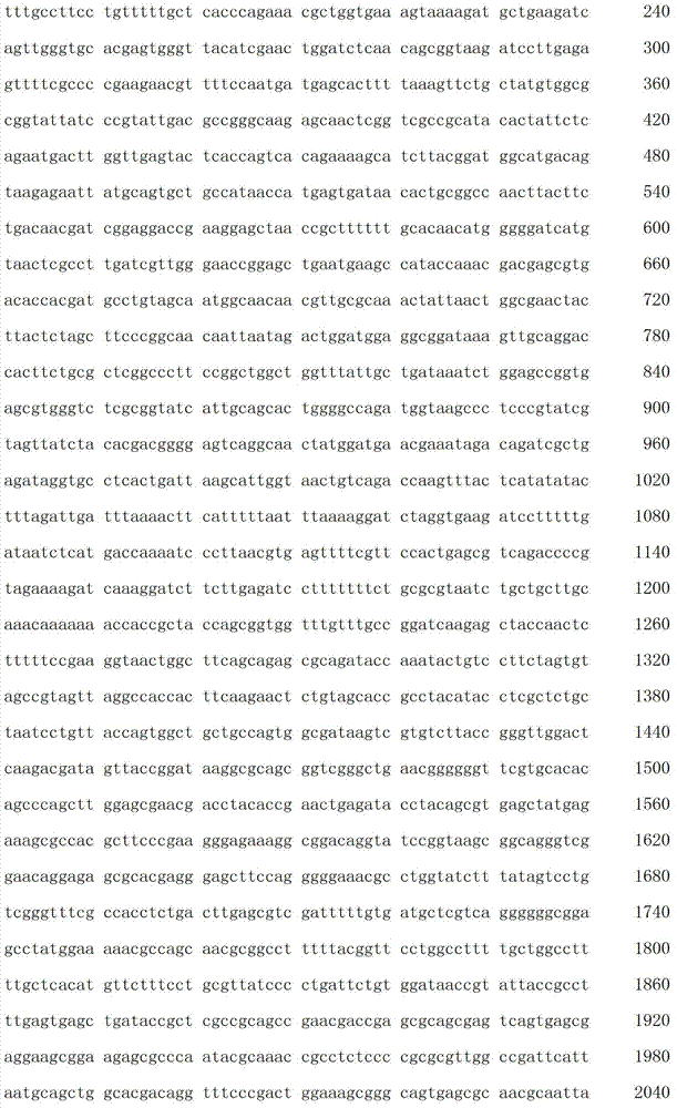 Figure IDA00003076741800581