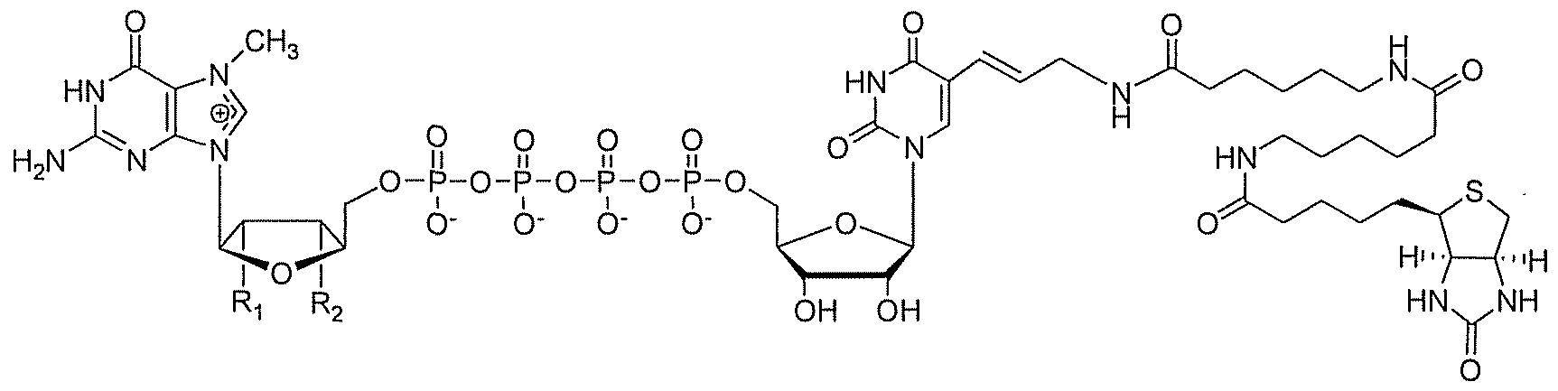 Figure imgf000041_0002