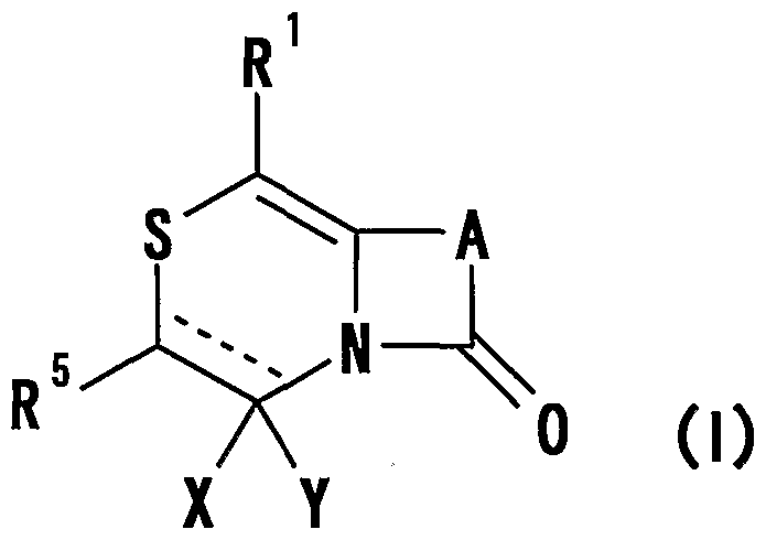 Figure imgf000008_0002