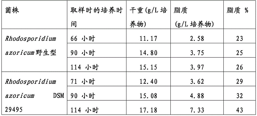 Figure BDA0001338279350000211