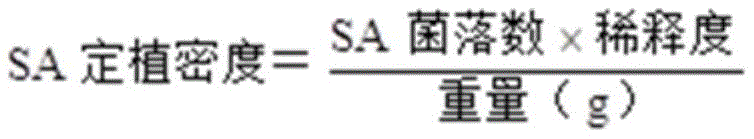 Figure BDA0002937021780000071