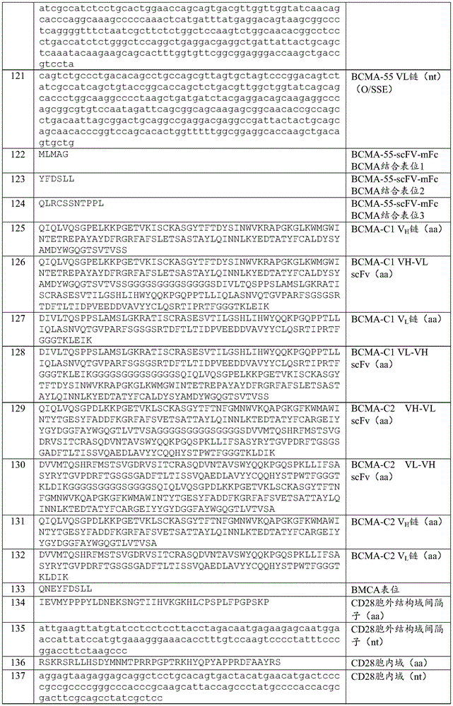 Figure BDA0003980595070001631