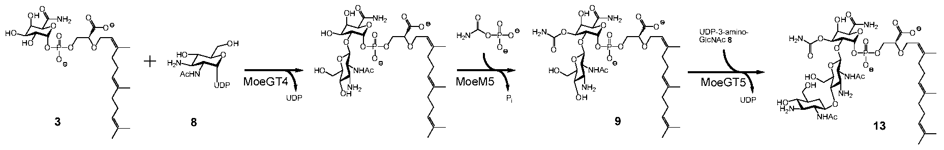 Figure imgf000209_0001