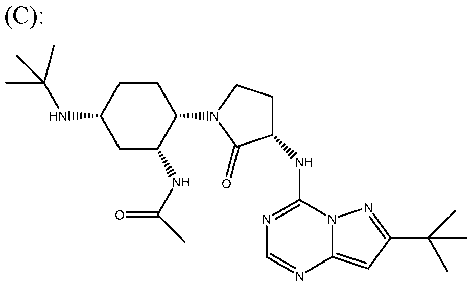 Figure imgf000007_0001
