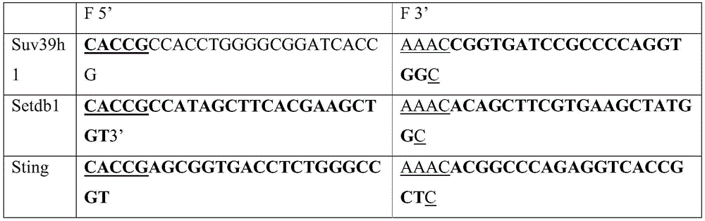 Figure BDA0002666456320000401